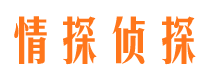 长江新区找人公司